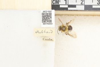 Media type: image;   Entomology 770253 Aspect: Labels